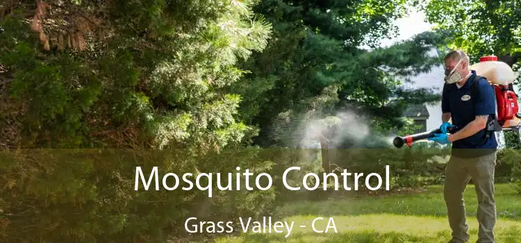  Mosquito Control Grass Valley - CA