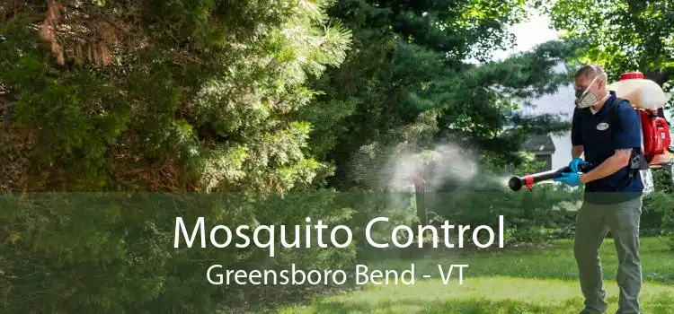 Mosquito Control Greensboro Bend - VT