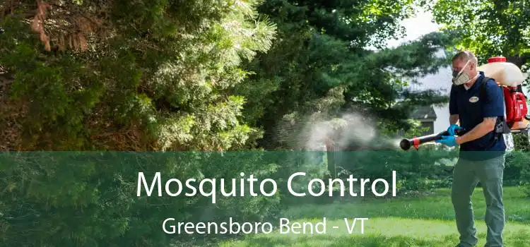  Mosquito Control Greensboro Bend - VT