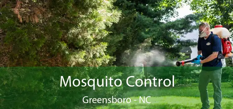  Mosquito Control Greensboro - NC
