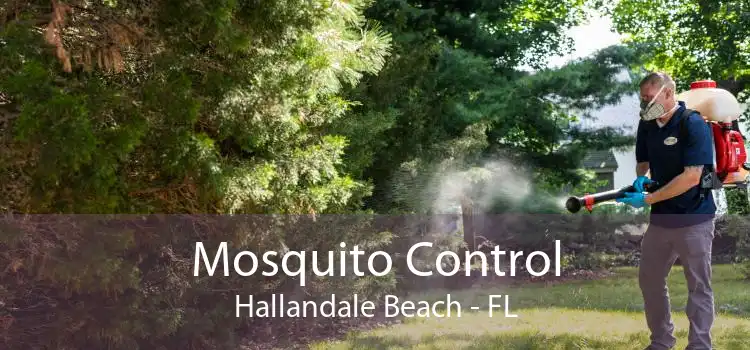 Mosquito Control Hallandale Beach - FL