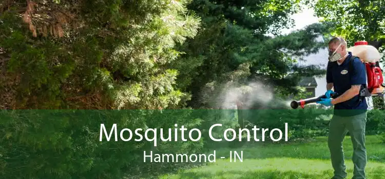 Mosquito Control Hammond - IN