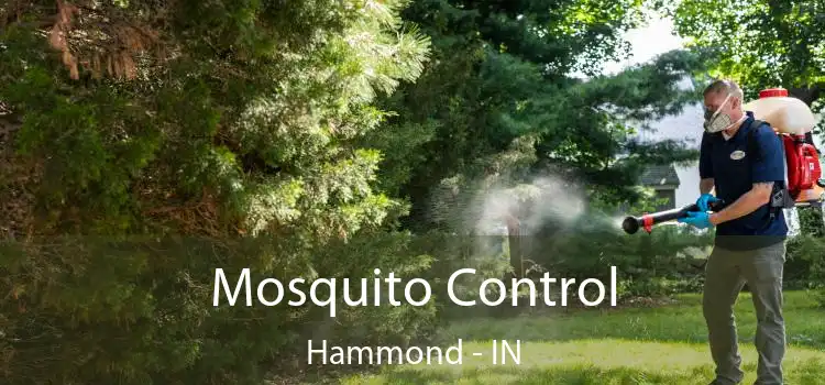  Mosquito Control Hammond - IN