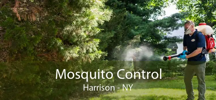 Mosquito Control Harrison - NY