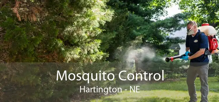 Mosquito Control Hartington - NE