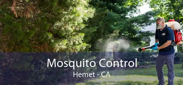 Mosquito Control Hemet - CA