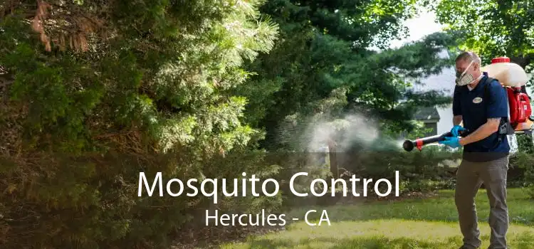 Mosquito Control Hercules - CA