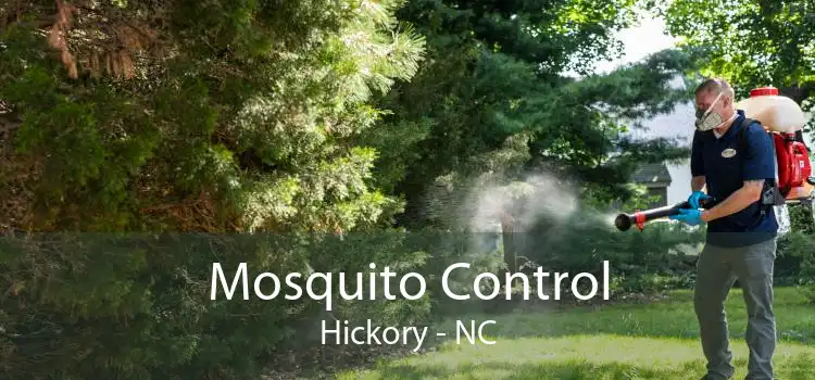 Mosquito Control Hickory - NC