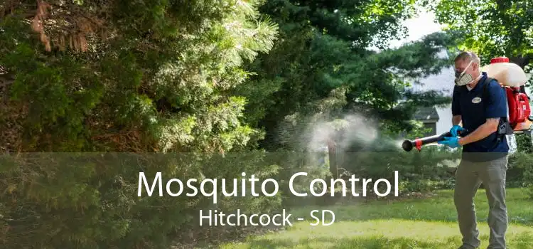 Mosquito Control Hitchcock - SD