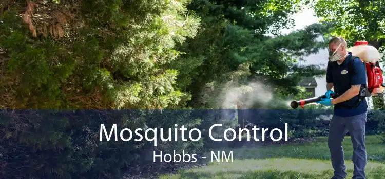 Mosquito Control Hobbs - NM
