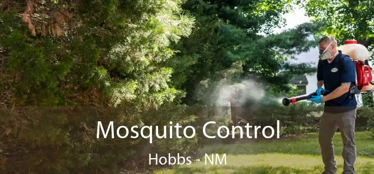  Mosquito Control Hobbs - NM