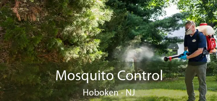  Mosquito Control Hoboken - NJ