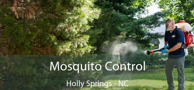  Mosquito Control Holly Springs - NC