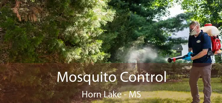  Mosquito Control Horn Lake - MS