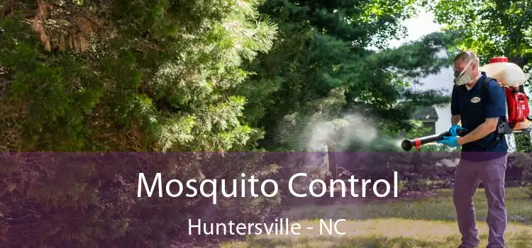 Mosquito Control Huntersville - NC