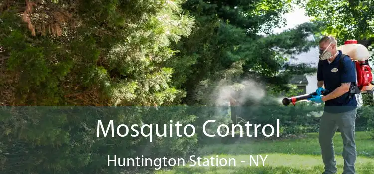  Mosquito Control Huntington Station - NY
