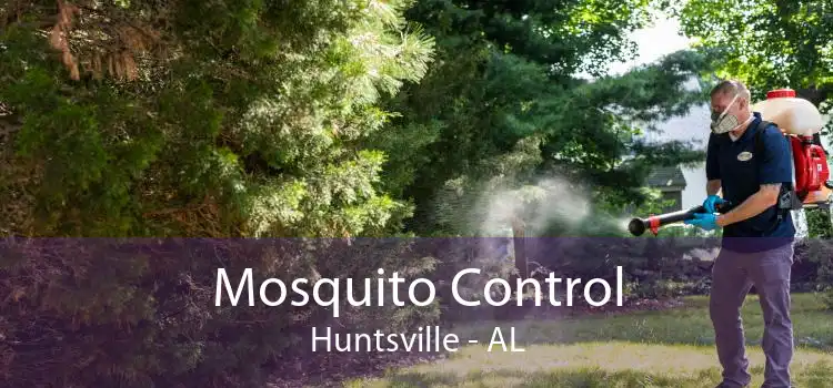 Mosquito Control Huntsville - AL