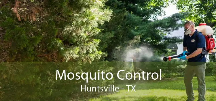 Mosquito Control Huntsville - TX