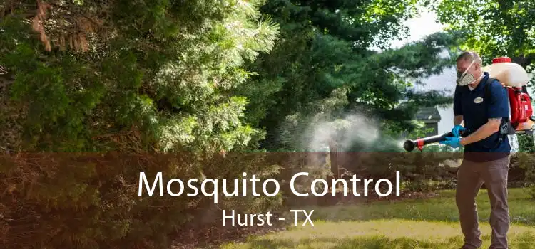 Mosquito Control Hurst - TX