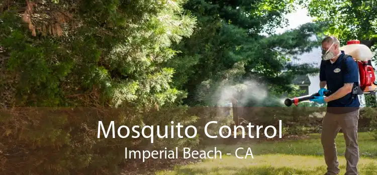 Mosquito Control Imperial Beach - CA