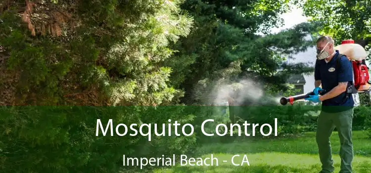  Mosquito Control Imperial Beach - CA