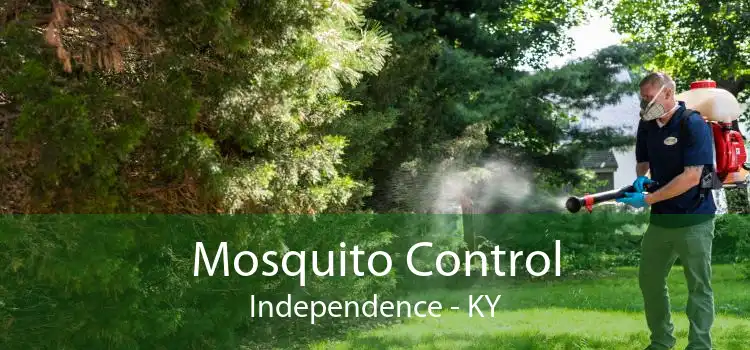 Mosquito Control Independence - KY