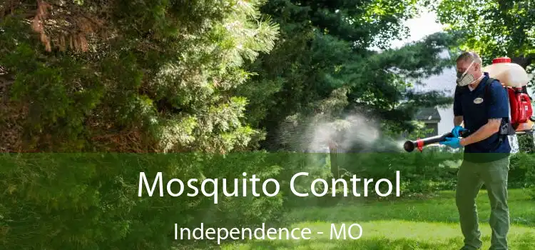  Mosquito Control Independence - MO