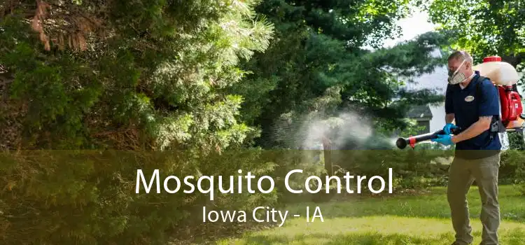 Mosquito Control Iowa City - IA