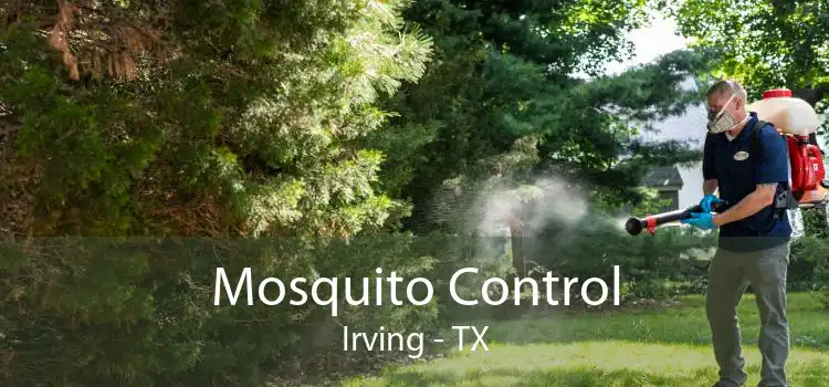 Mosquito Control Irving - TX