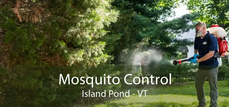 Mosquito Control Island Pond - VT