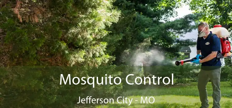  Mosquito Control Jefferson City - MO