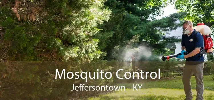 Mosquito Control Jeffersontown - KY