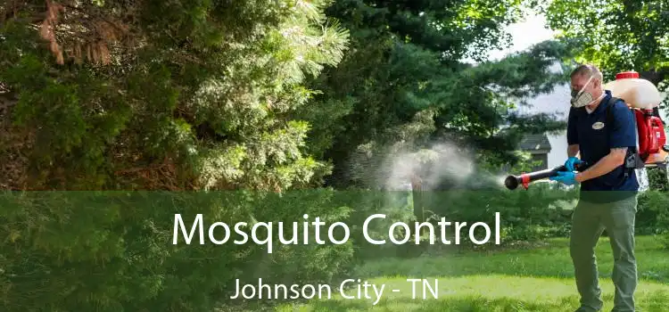  Mosquito Control Johnson City - TN
