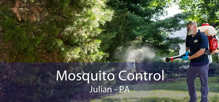 Mosquito Control Julian - PA