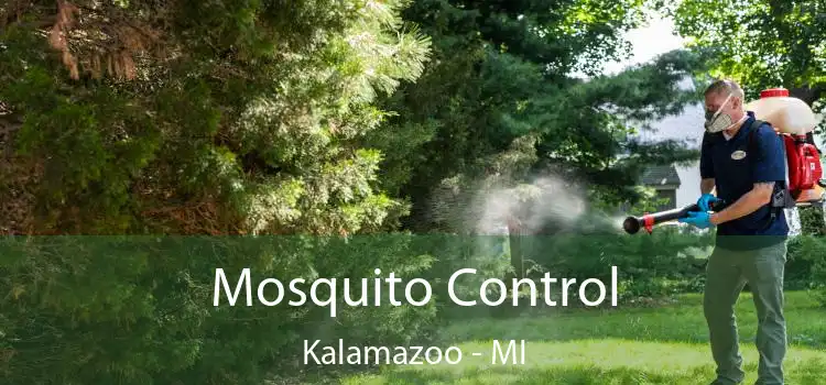  Mosquito Control Kalamazoo - MI