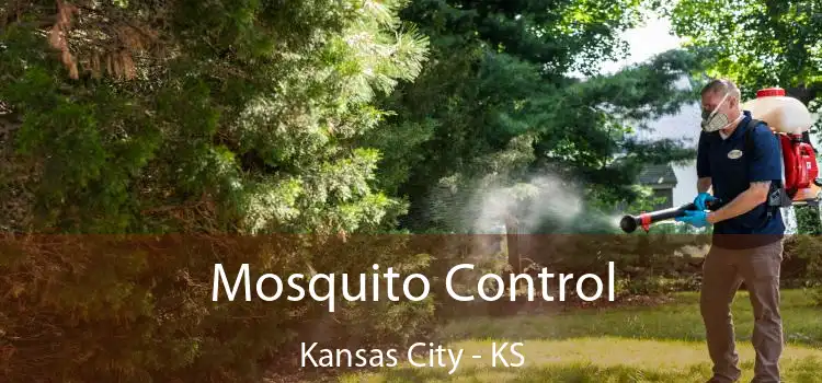  Mosquito Control Kansas City - KS