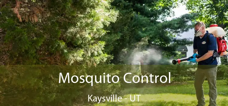  Mosquito Control Kaysville - UT