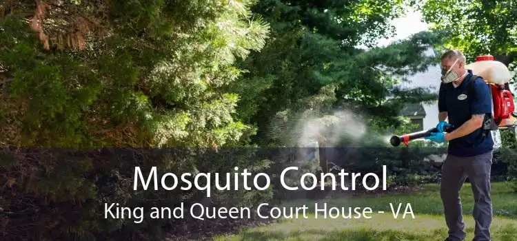 Mosquito Control King and Queen Court House - VA