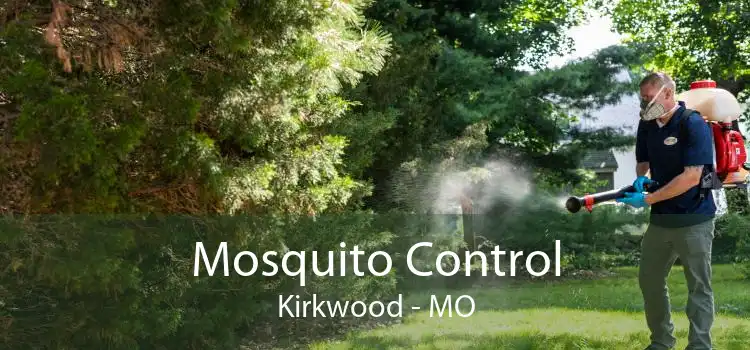 Mosquito Control Kirkwood - MO