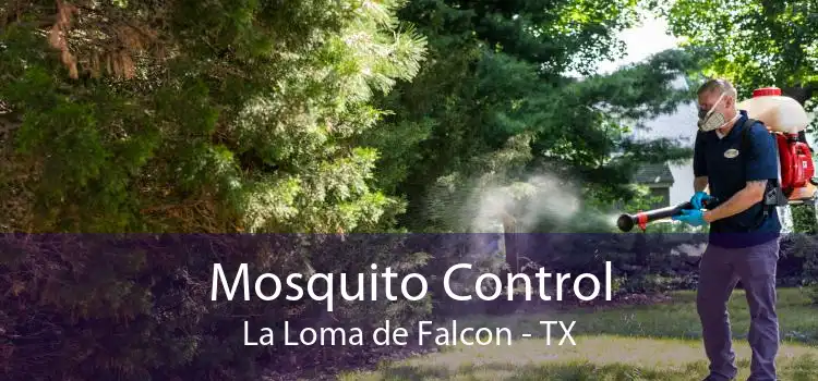 Mosquito Control La Loma de Falcon - TX