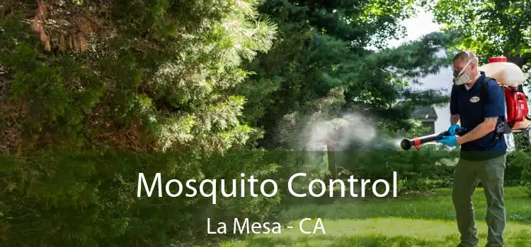 Mosquito Control La Mesa - CA