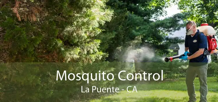 Mosquito Control La Puente - CA