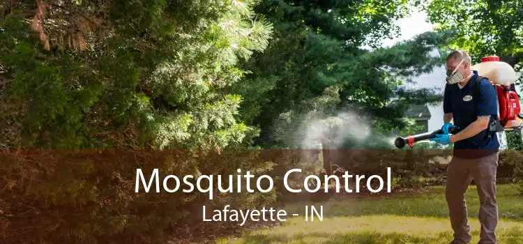 Mosquito Control Lafayette - IN