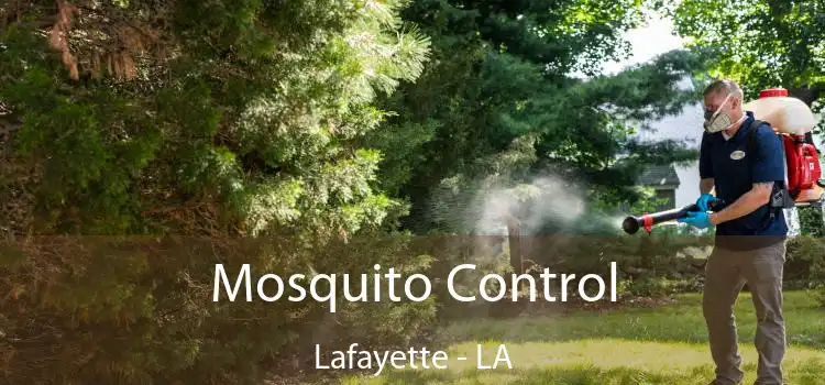  Mosquito Control Lafayette - LA
