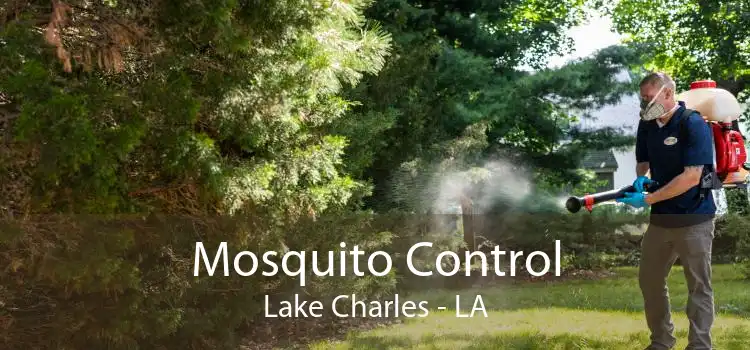 Mosquito Control Lake Charles - LA