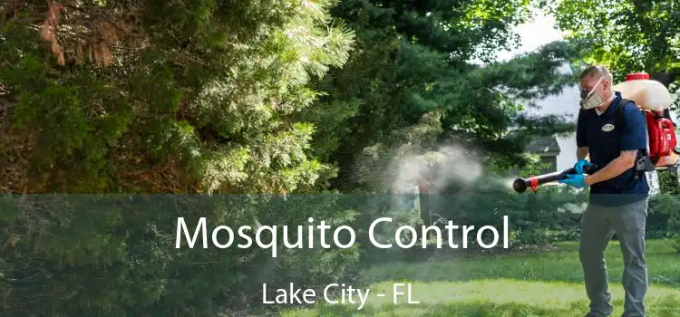  Mosquito Control Lake City - FL