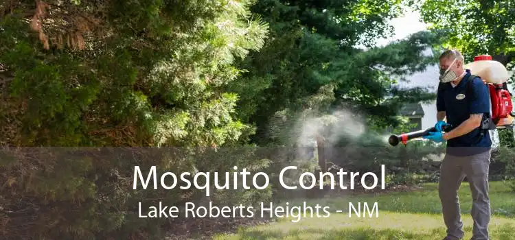 Mosquito Control Lake Roberts Heights - NM