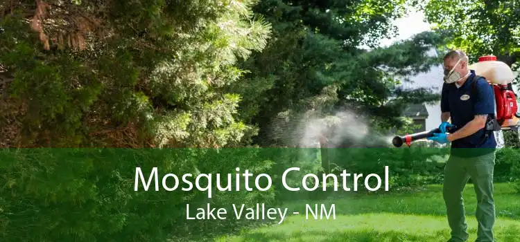 Mosquito Control Lake Valley - NM