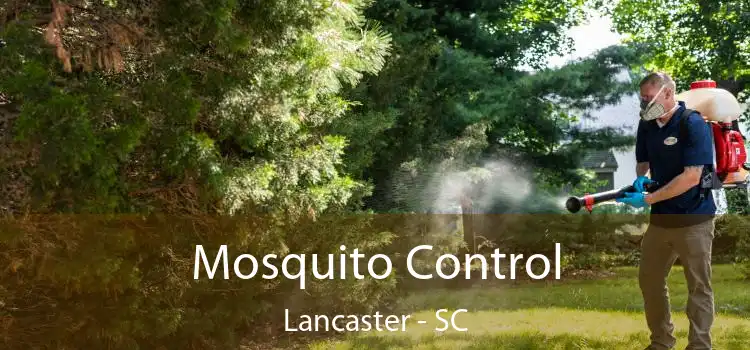  Mosquito Control Lancaster - SC