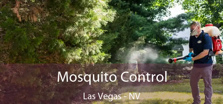  Mosquito Control Las Vegas - NV